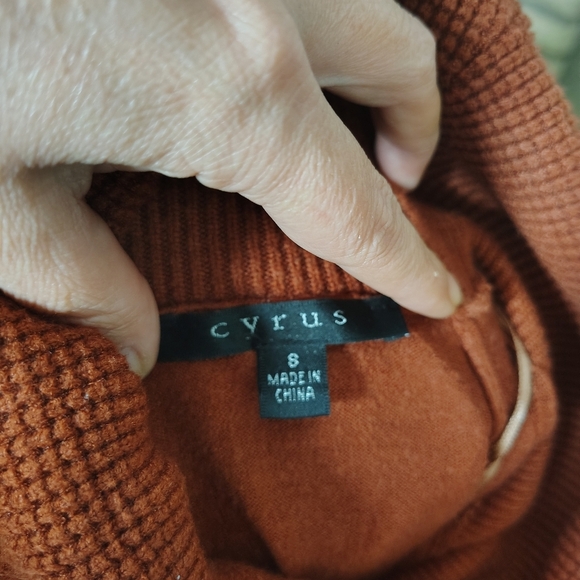 Cyrus Warm Cinnamon Cowl Neck Sweater - Picture 3 of 3